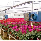 ԰�մ�����·���