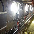 ˮ����ֳ��ů����